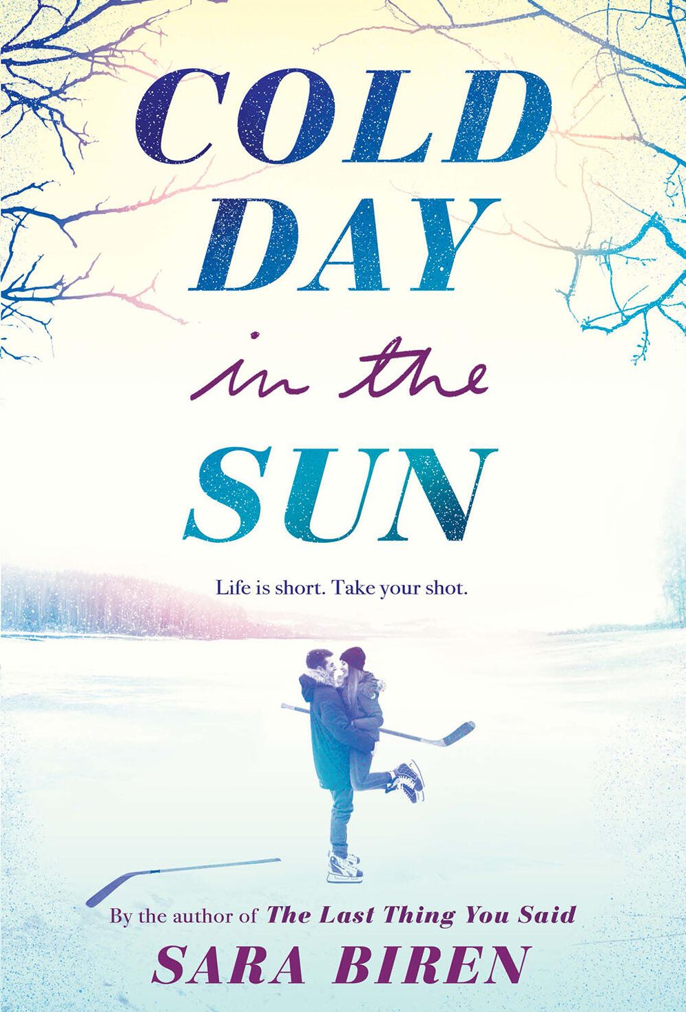 Cold Day in the Sun: A Hockey Romance