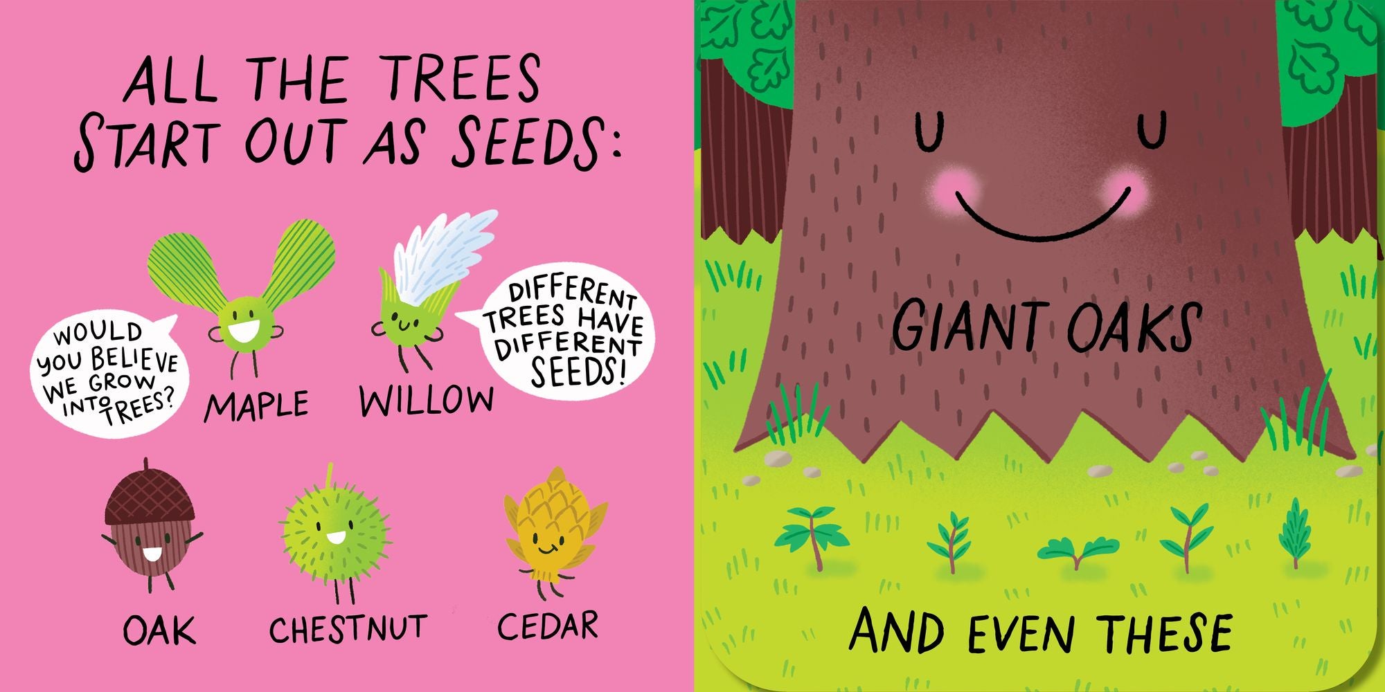 A Seed Will Grow (A Hello!Lucky Hands-On Book): An Interactive Board Book