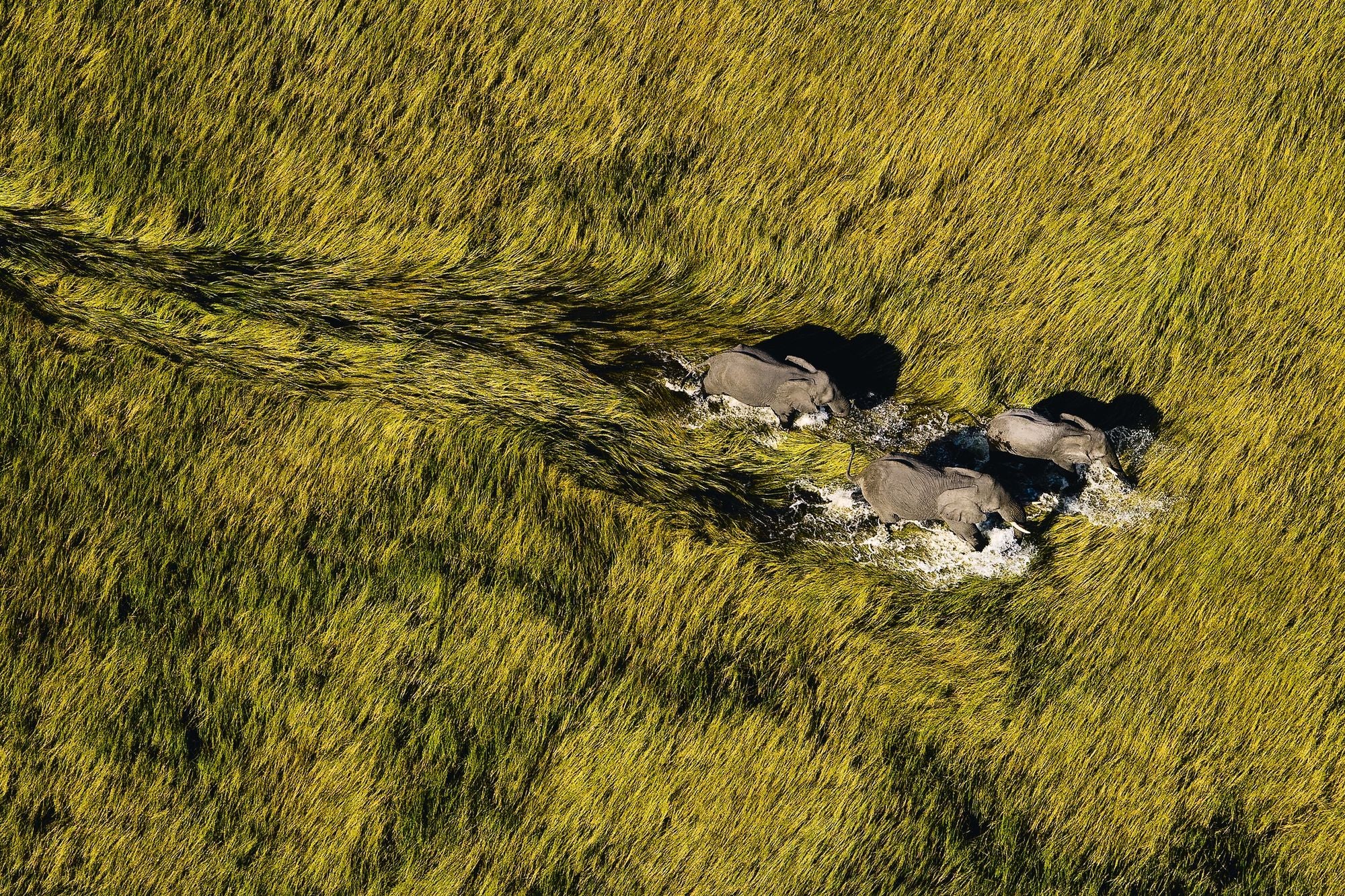 Earth from Above (25th Anniversary Edition): A Landmark Collection of Aerial Photography