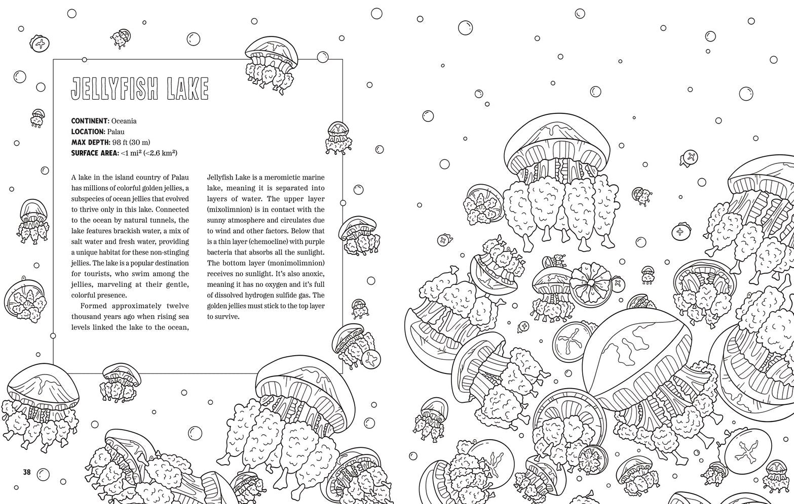 Spooky Lakes Coloring Book: Includes Pull-Out, Oversized Poster to Color!