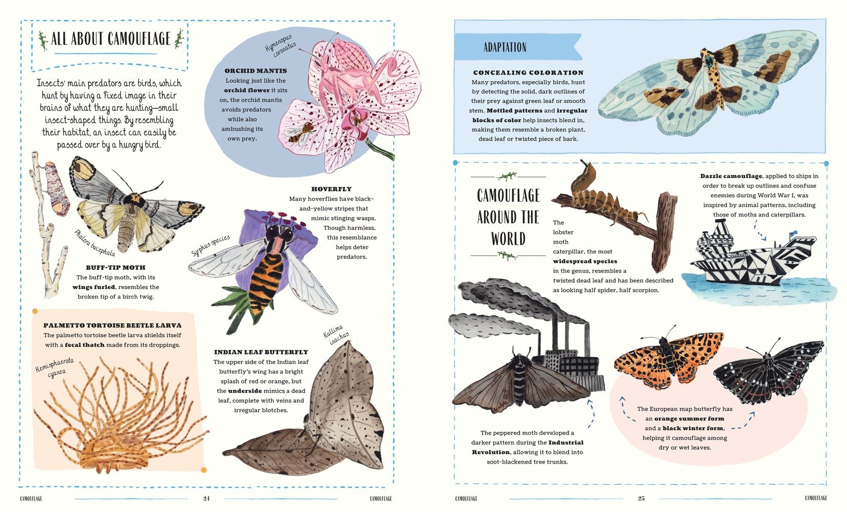 Buzz: A Family Guide to Bugs and Bees and How to Spot Them
