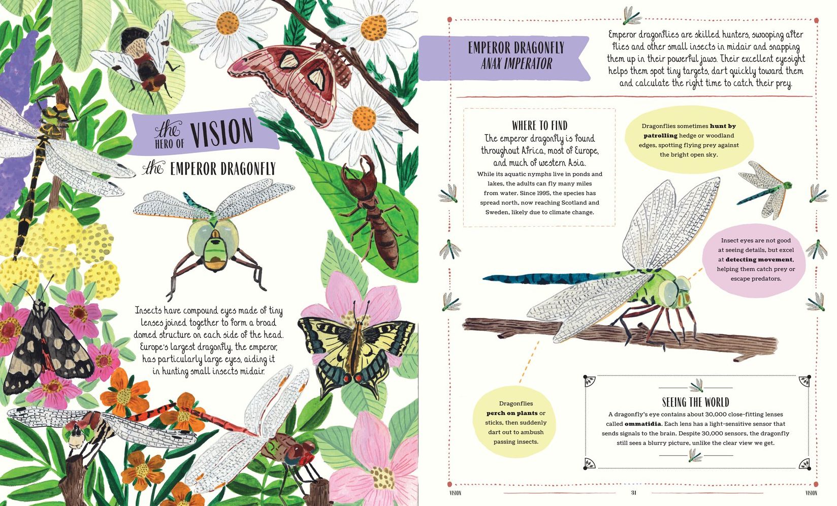 Buzz: A Family Guide to Bugs and Bees and How to Spot Them