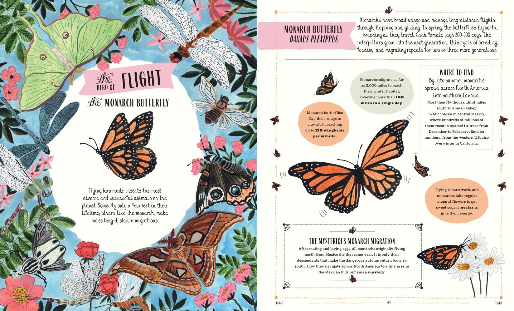 Buzz: A Family Guide to Bugs and Bees and How to Spot Them