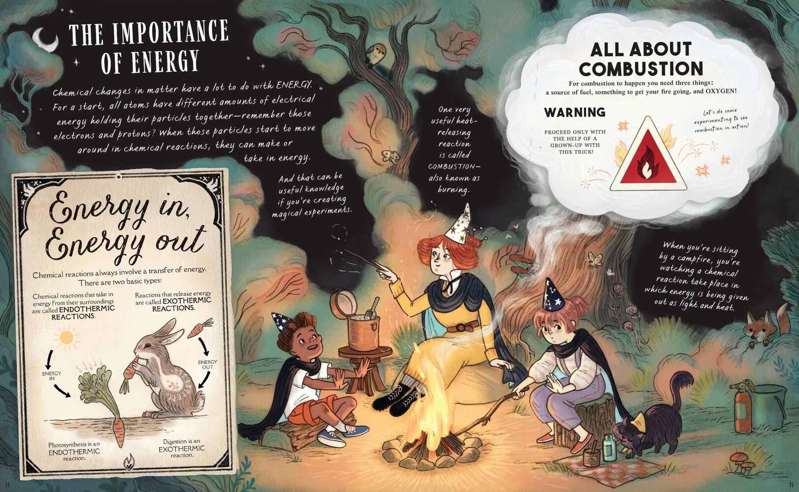The Wizard's Guide to Magical Experiments: 40 Science Experiments to Try at Home