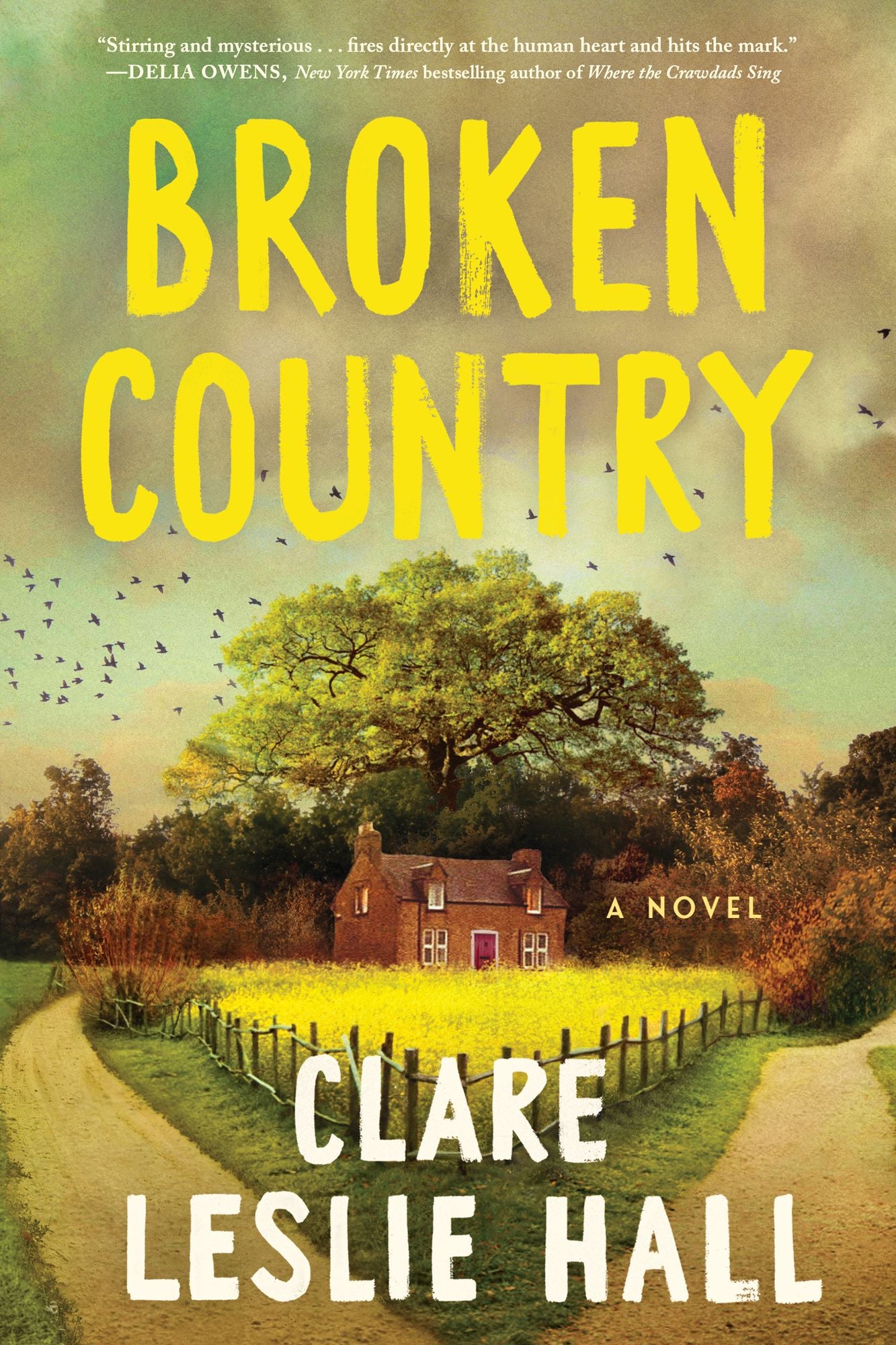Broken Country: A Novel