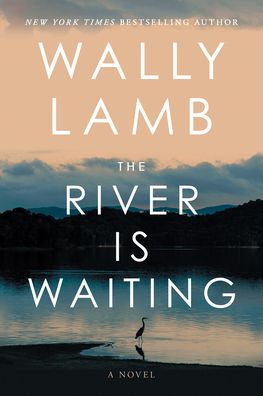 The River Is Waiting: A Novel
