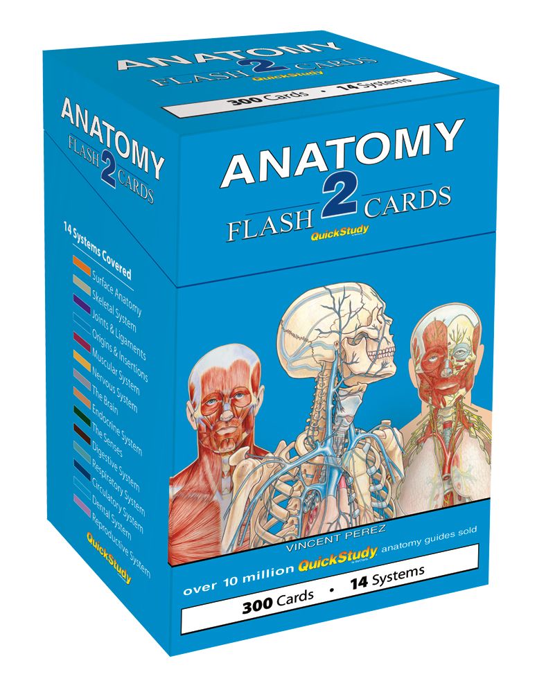 Anatomy 2 Flash Cards: a QuickStudy Reference Tool