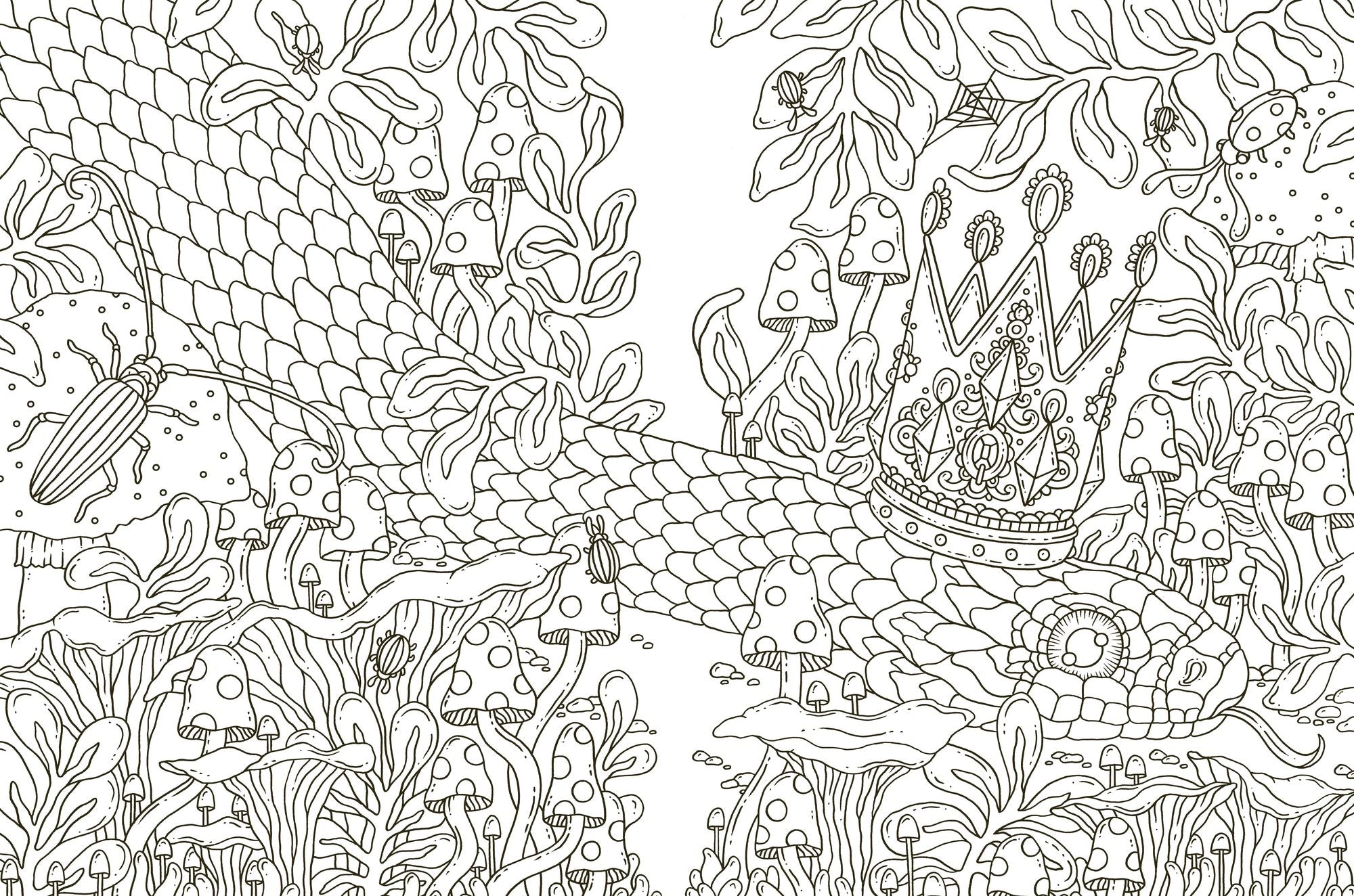 Tales from the Forest Kingdom Coloring Book: Hardcover adult coloring book featuring thick, high-quality paper