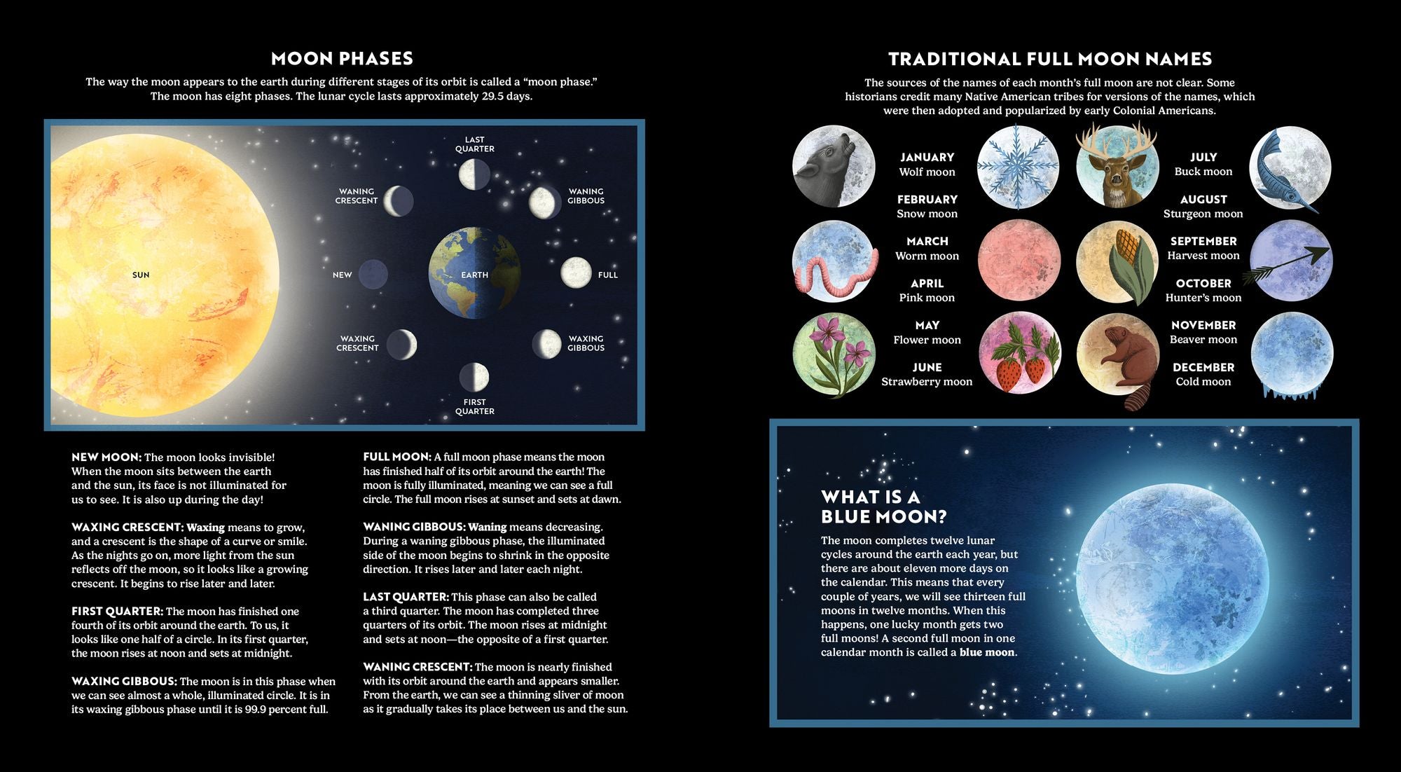 Wild Moon: How the Lunar Phases Light Up Our World