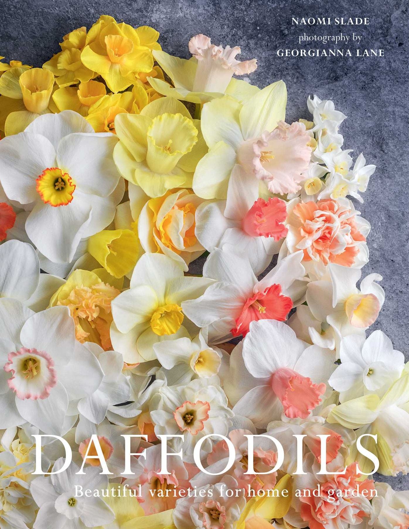 Daffodils: Beautiful Varieties for Home and Garden