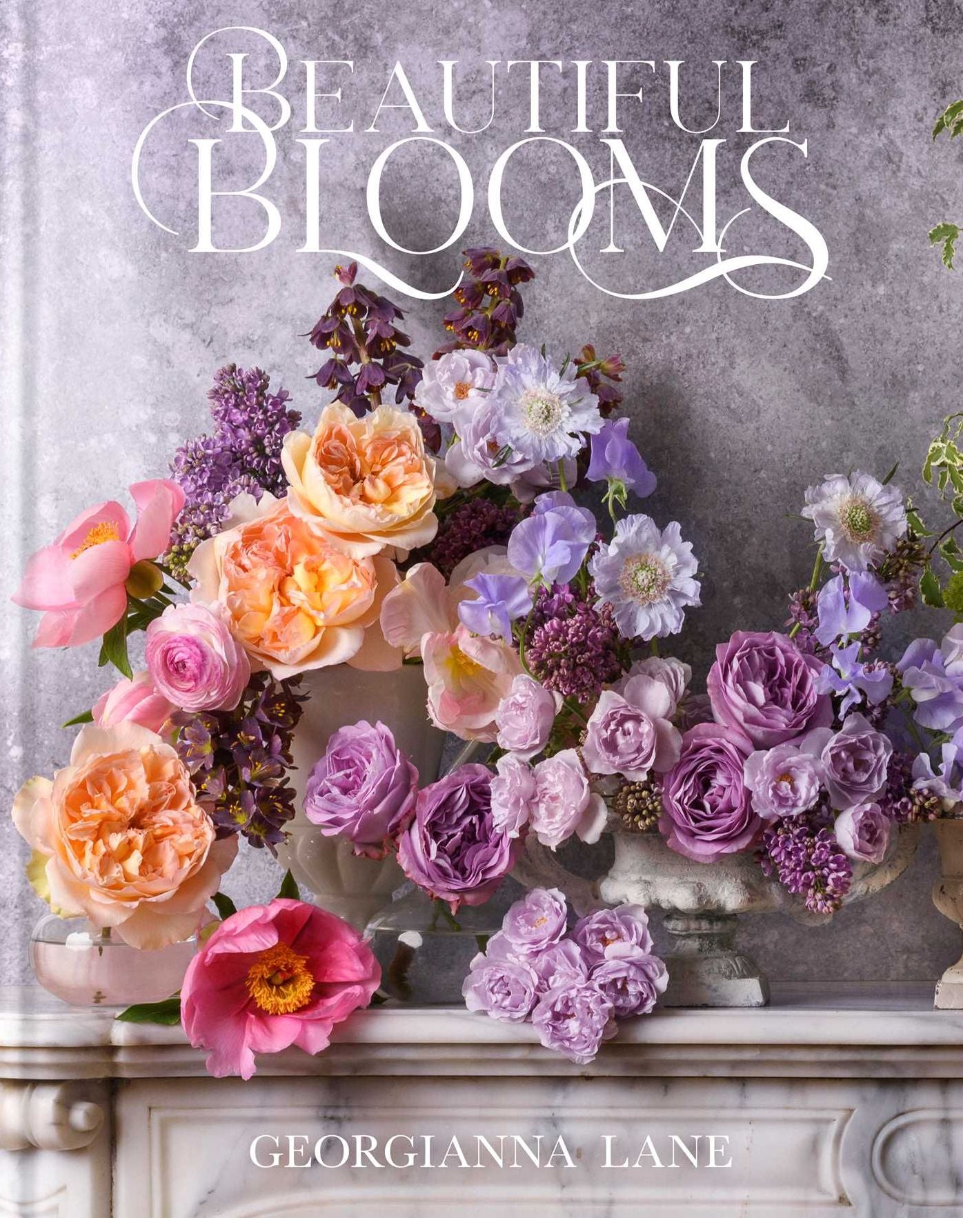 Beautiful Blooms: A Photographic Celebration