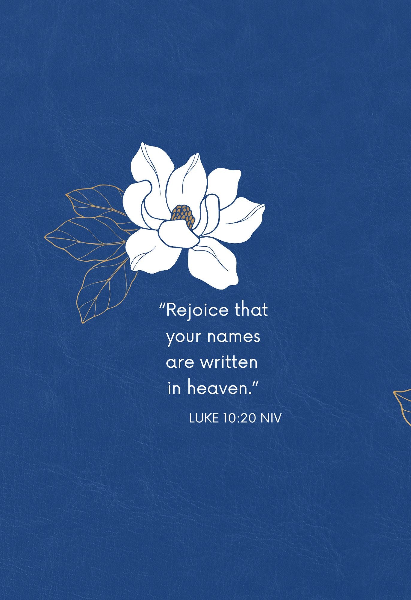 Written in Heaven: His Story, Our Lives (A 40-Day Devotional)