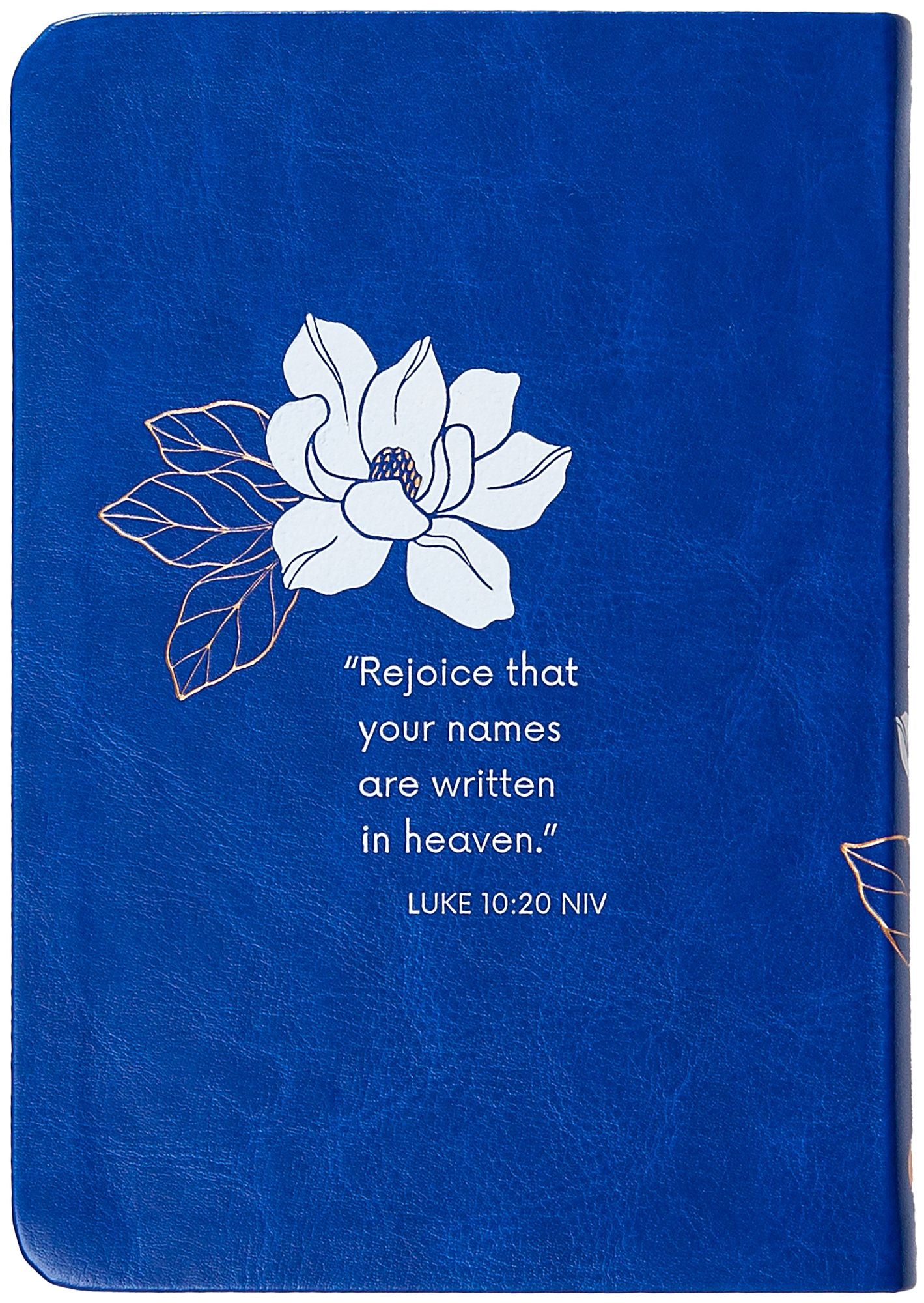 Written in Heaven: His Story, Our Lives (A 40-Day Devotional)