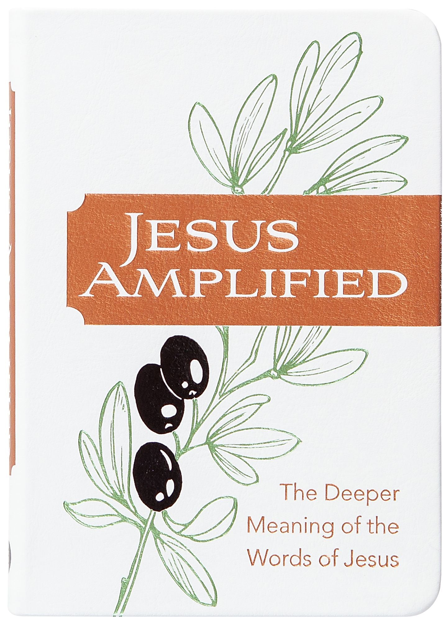 Jesus Amplified: The Deeper Meaning of the Words of Jesus