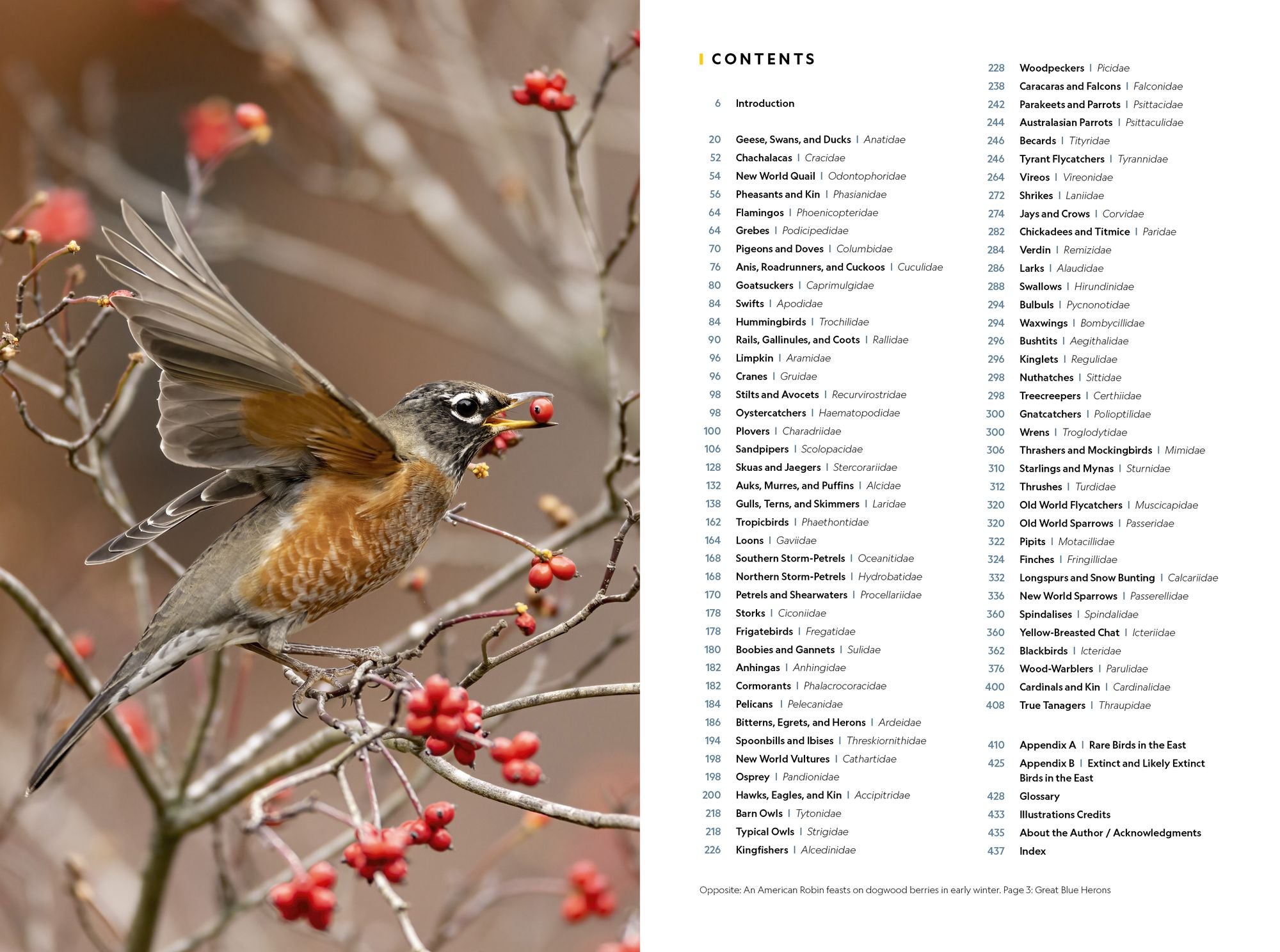 National Geographic Field Guide to the Birds of the United States and Canada-East, 2nd Edition