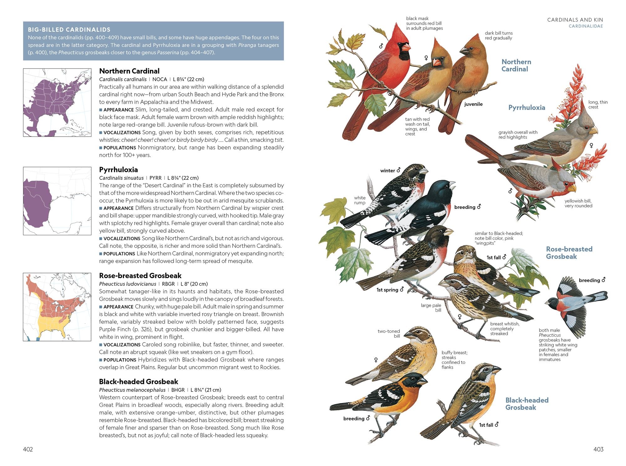National Geographic Field Guide to the Birds of the United States and Canada-East, 2nd Edition