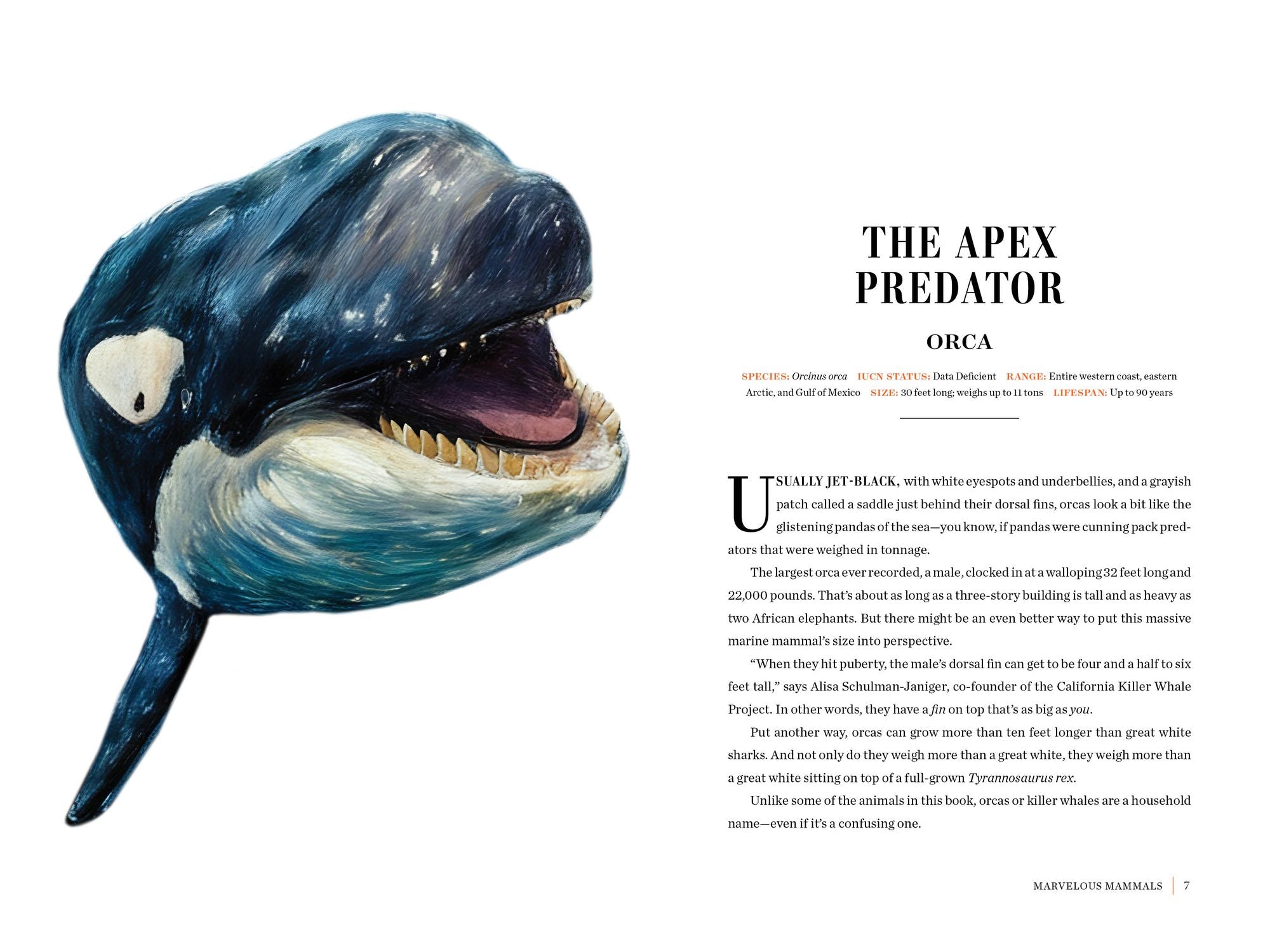 Grizzled: Love Letters to 50 of North America's Least Understood Animals