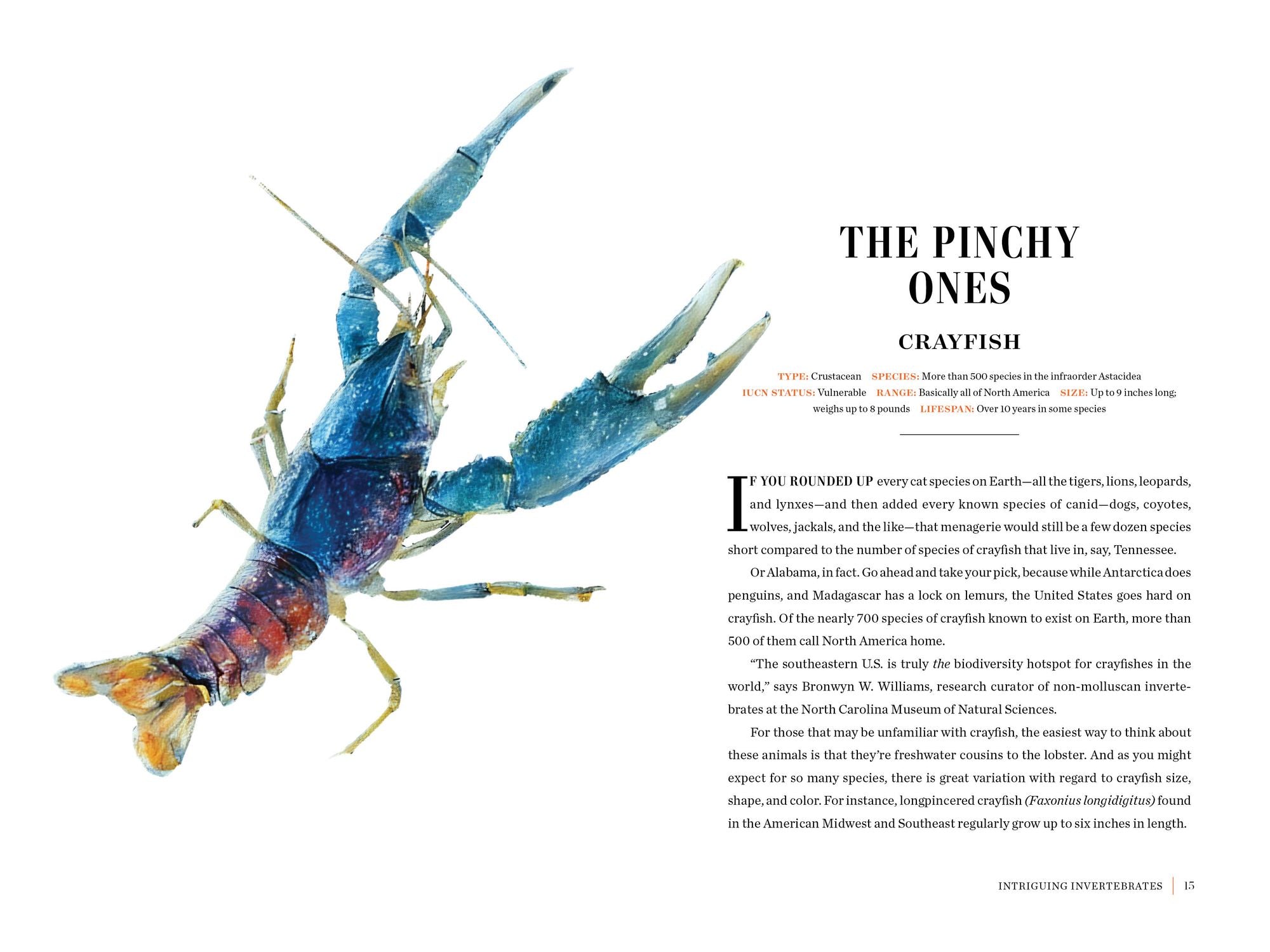Grizzled: Love Letters to 50 of North America's Least Understood Animals