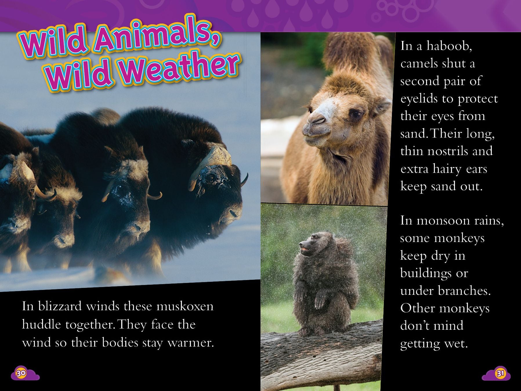 Storms (National Geographic Readers Series)