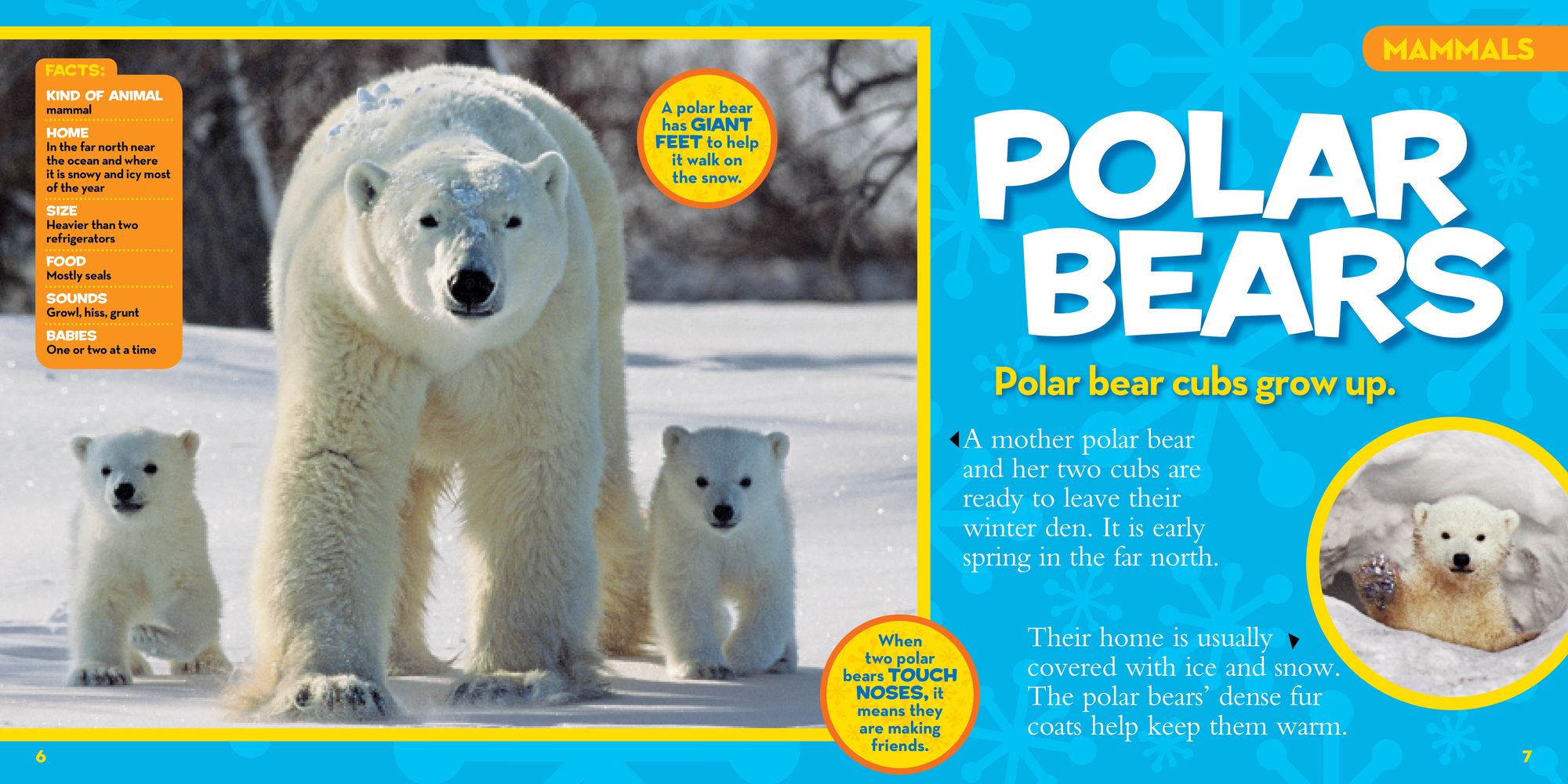 National Geographic Little Kids First Big Book of Animals