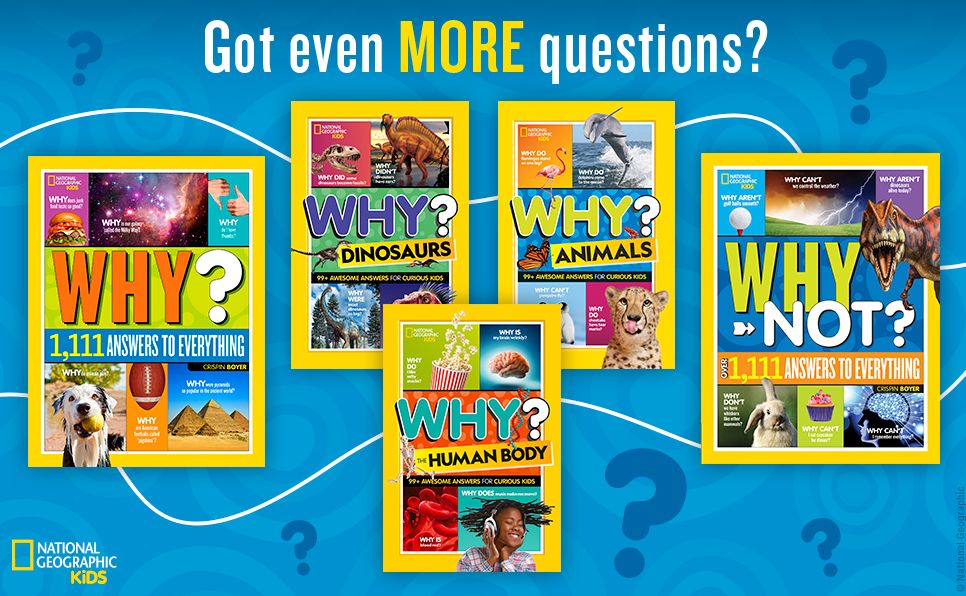 National Geographic Kids Why?: Over 1,111 Answers to Everything