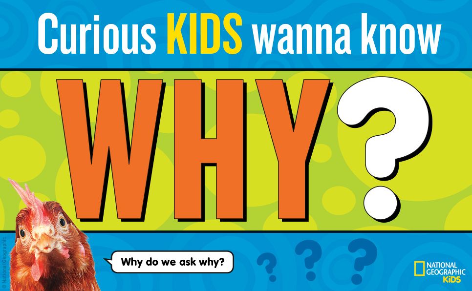 National Geographic Kids Why?: Over 1,111 Answers to Everything