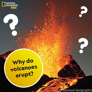 National Geographic Kids Why?: Over 1,111 Answers to Everything