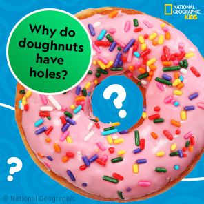 National Geographic Kids Why?: Over 1,111 Answers to Everything