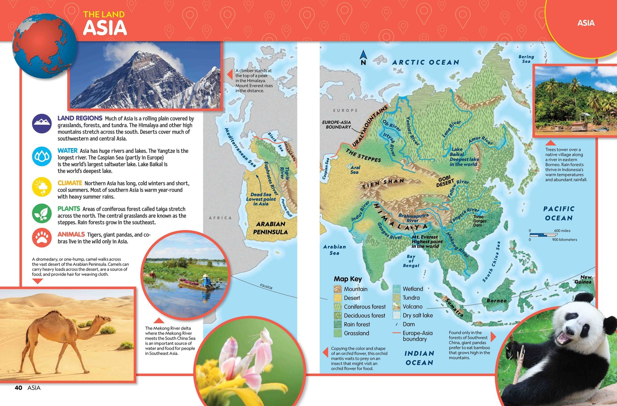 National Geographic Kids Beginner's World Atlas, 5th Edition