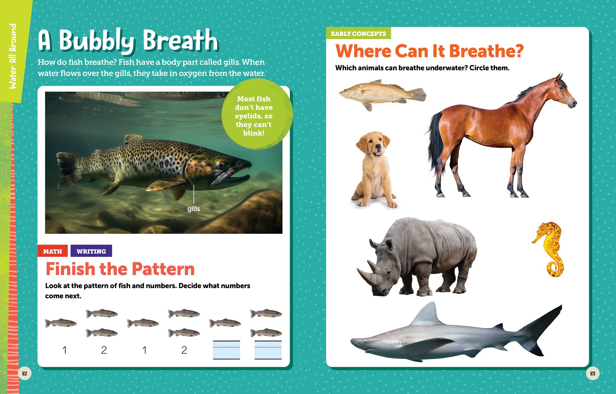 National Geographic Kids Explore! Workbook Pre-K