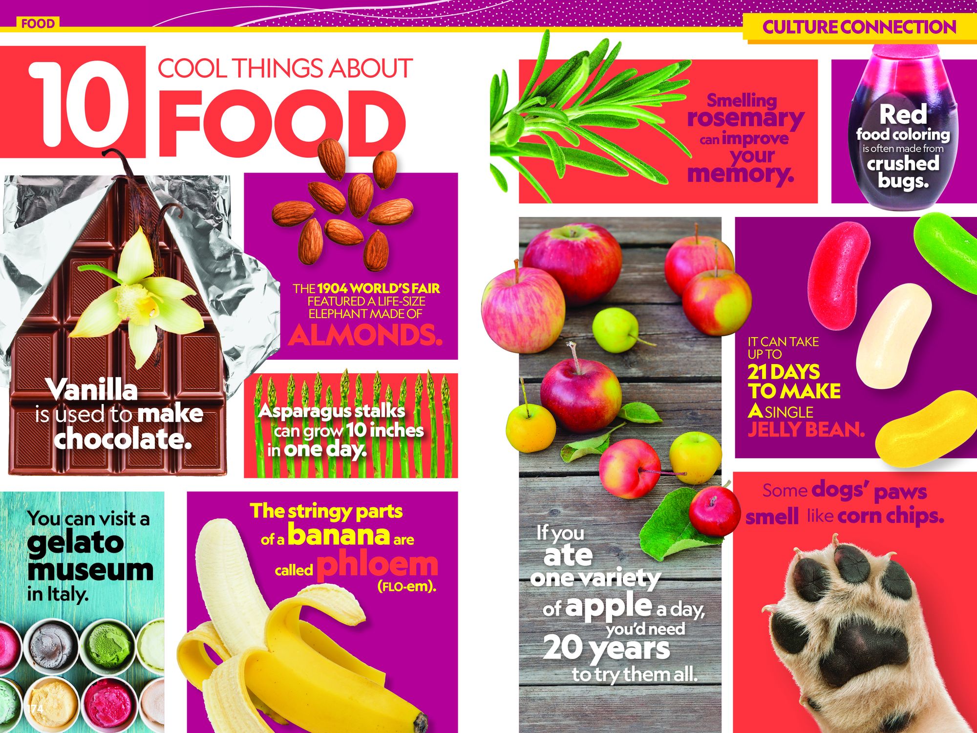 National Geographic Kids Almanac 2026