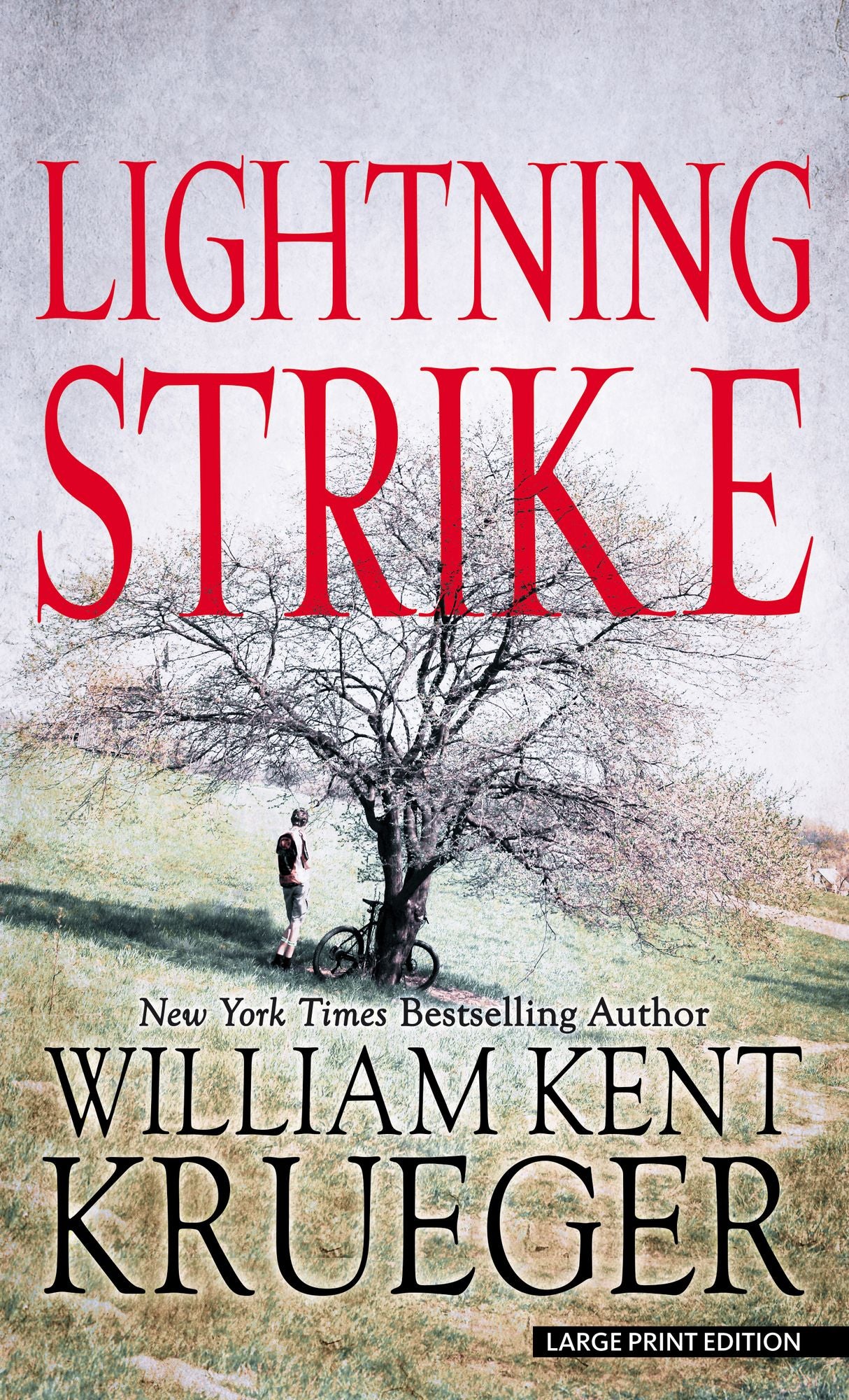 Lightning Strike (Cork O'Connor Series #18)
