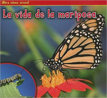 La vida de la mariposa (The Life of a Butterfly)