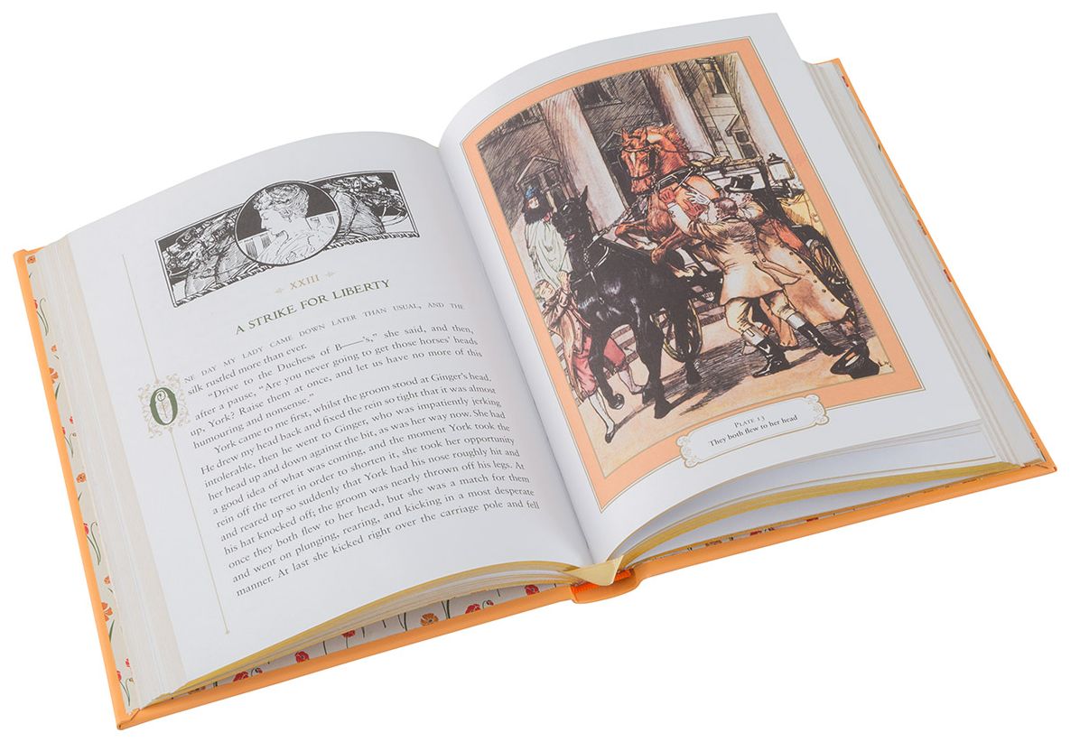 Black Beauty (Barnes & Noble Collectible Editions)