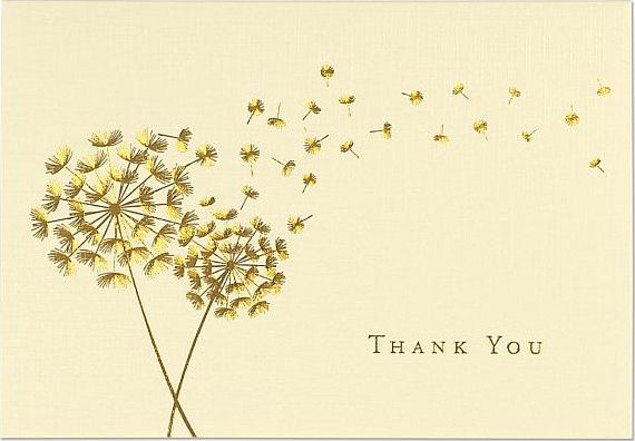 TYOU Dandelion Wishes Thank You Notecards