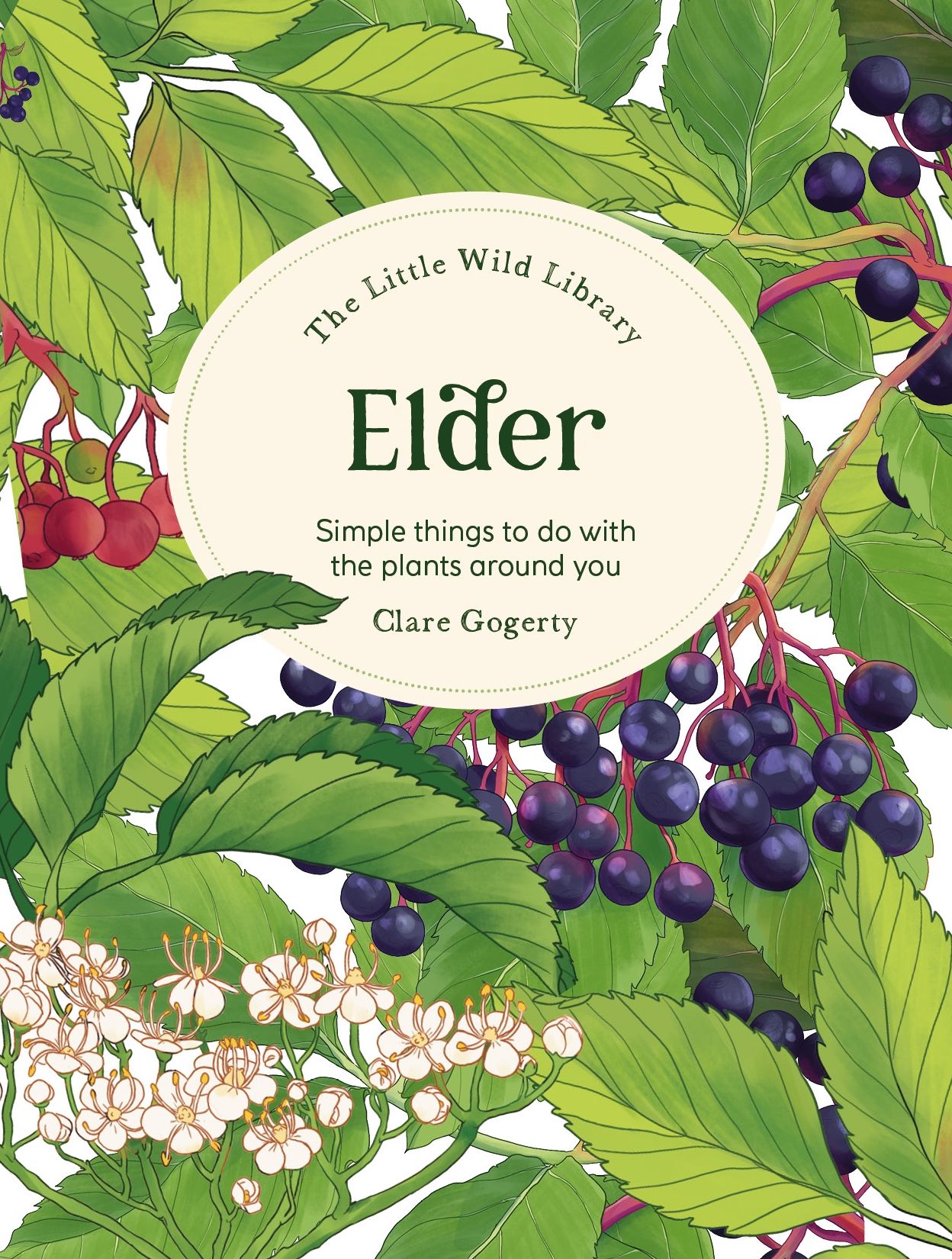 The Little Wild Library: Elder: Simple things to do with the plants around you.