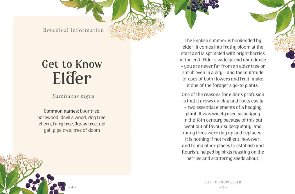 The Little Wild Library: Elder: Simple things to do with the plants around you.