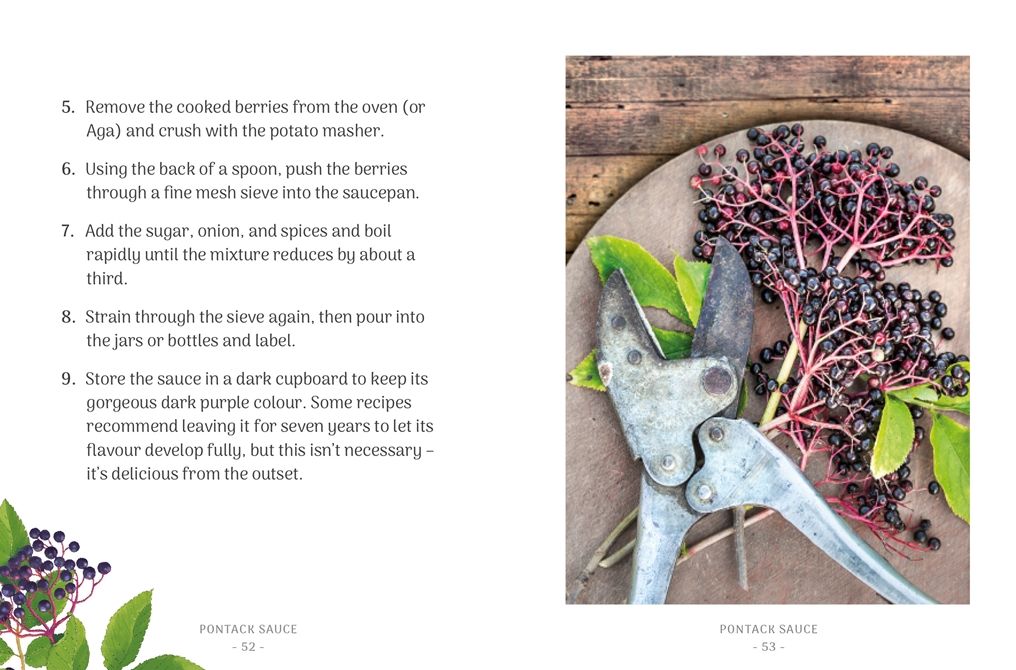 The Little Wild Library: Elder: Simple things to do with the plants around you.