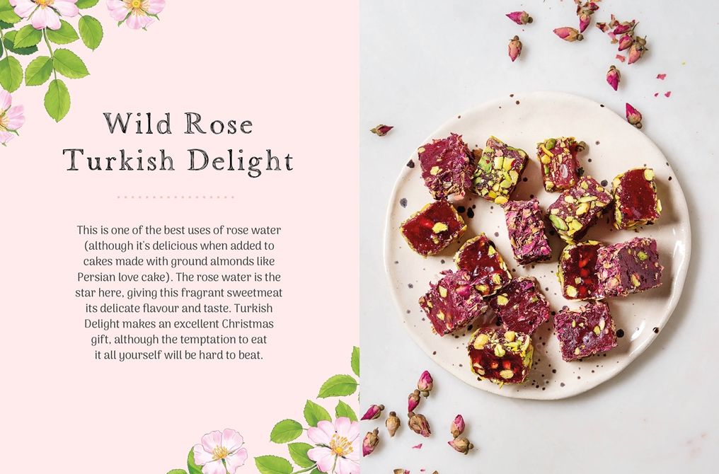 The Little Wild Library: Wild Rose: Simple things to do with the plants around you.