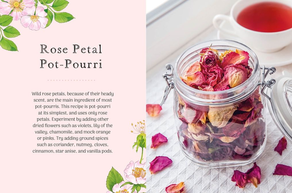 The Little Wild Library: Wild Rose: Simple things to do with the plants around you.