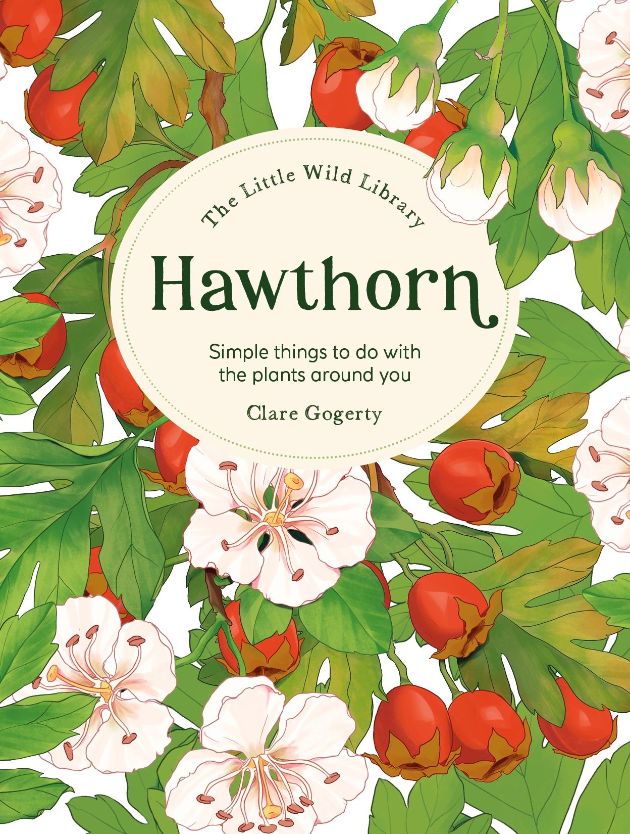 The Little Wild Library: Hawthorn: Simple things to do with the plants around you.