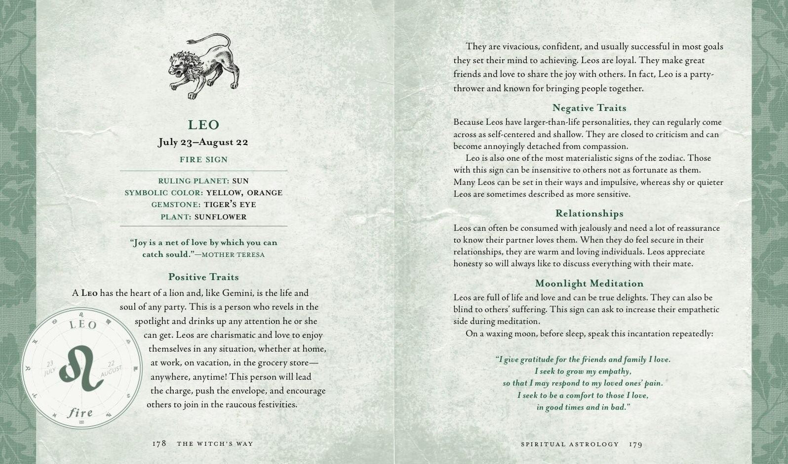 The Witch's Way: A Guide to Modern-Day Spellcraft, Nature Magick, and Divination