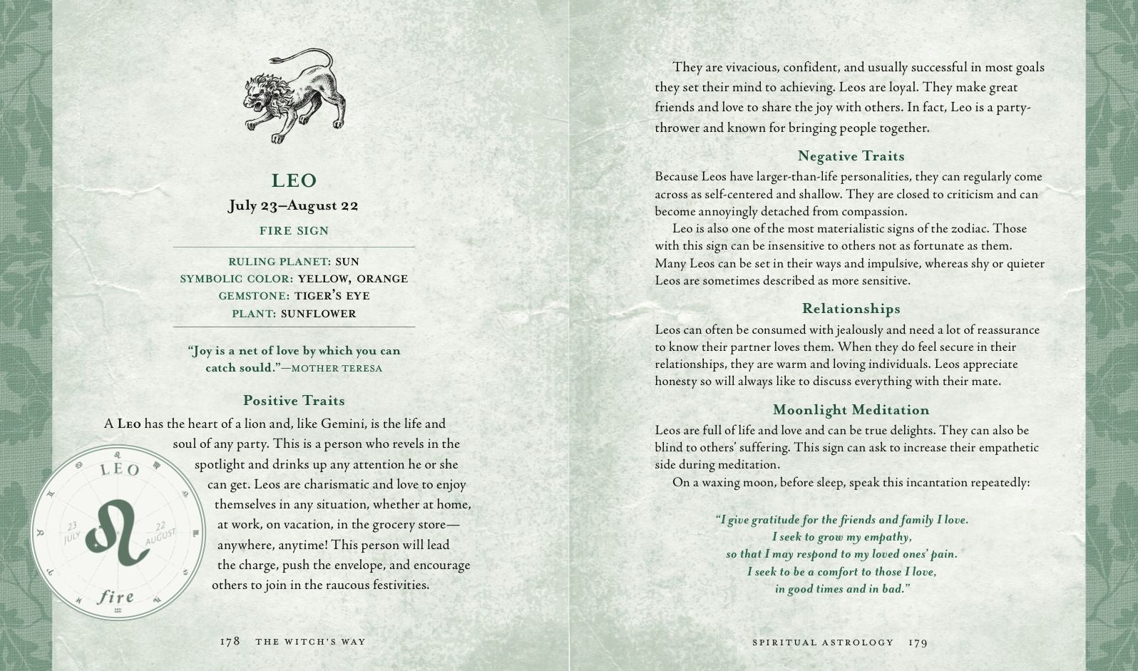 The Witch's Way: A Guide to Modern-Day Spellcraft, Nature Magick, and Divination