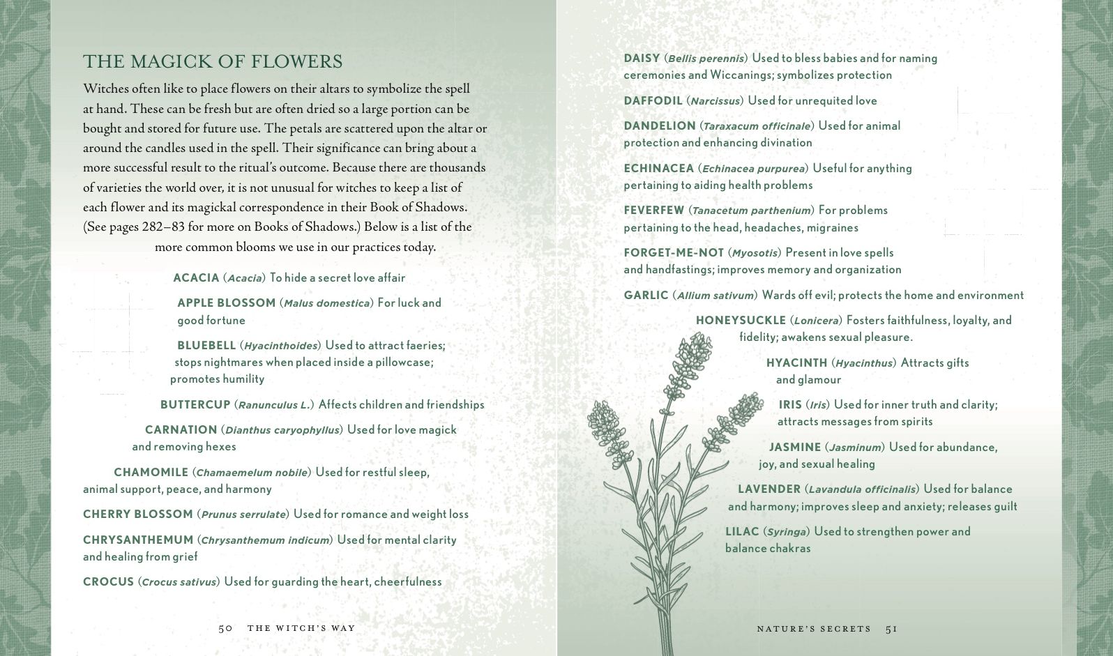 The Witch's Way: A Guide to Modern-Day Spellcraft, Nature Magick, and Divination