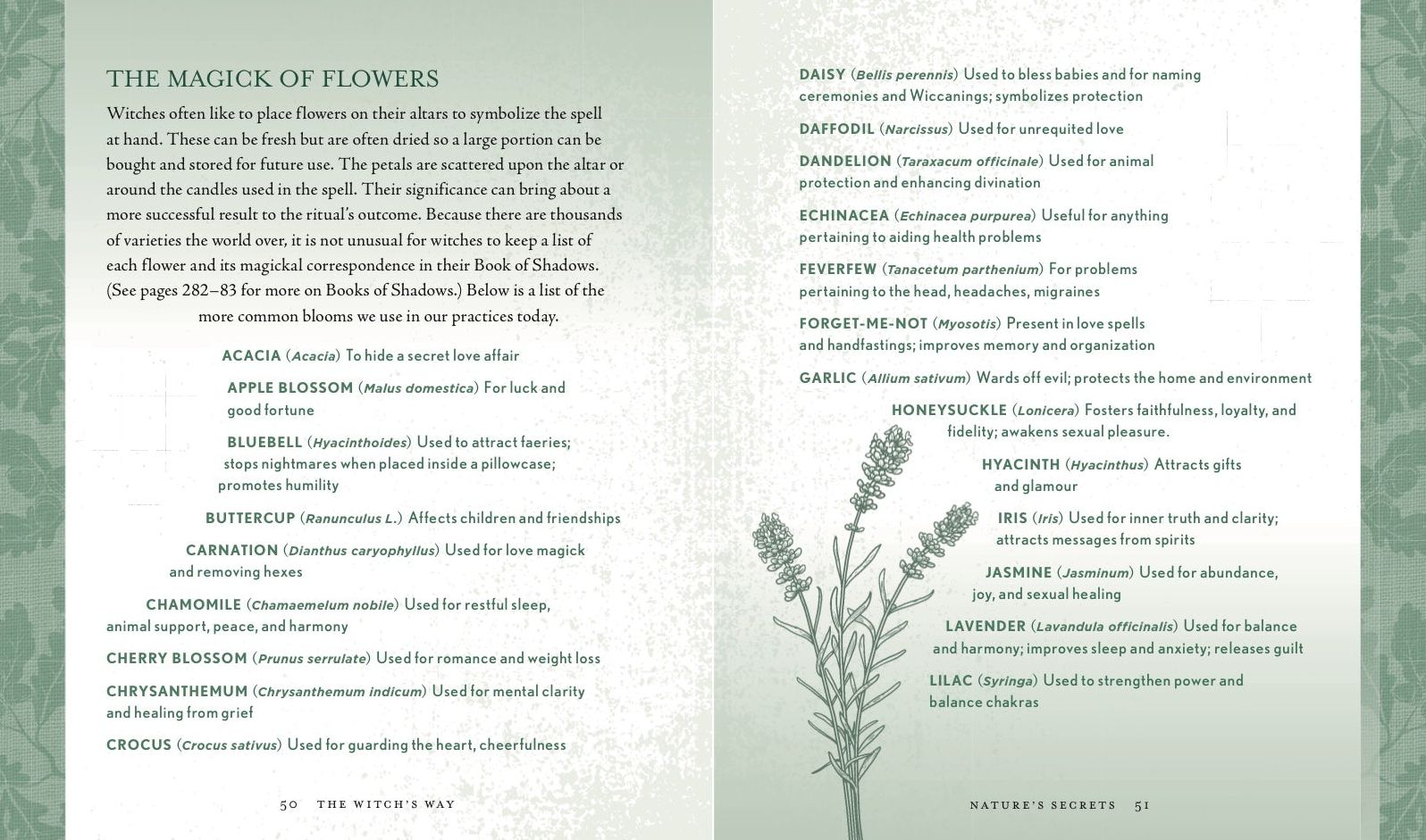 The Witch's Way: A Guide to Modern-Day Spellcraft, Nature Magick, and Divination