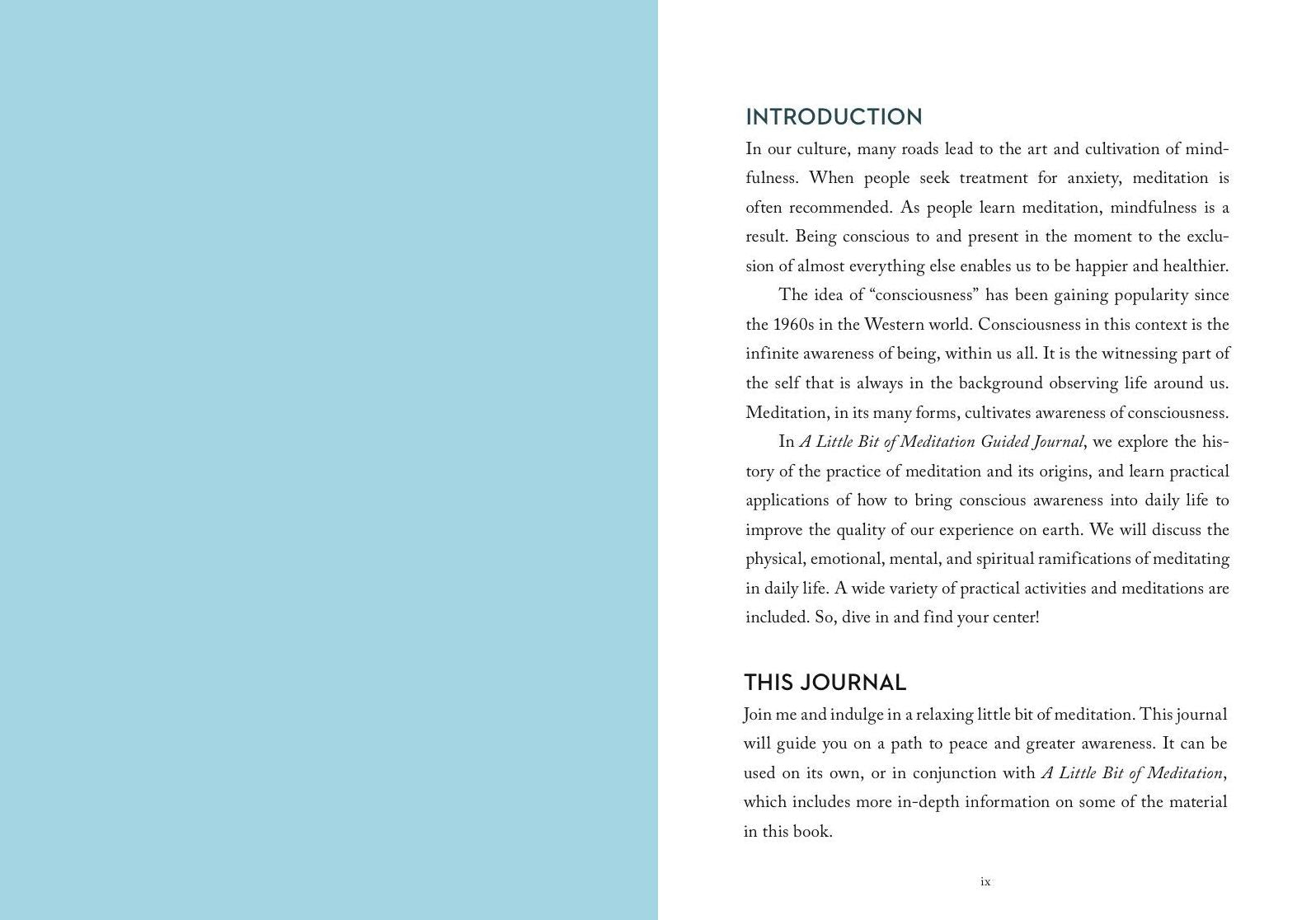 A Little Bit of Meditation Guided Journal: Your Personal Path to Mindfulness