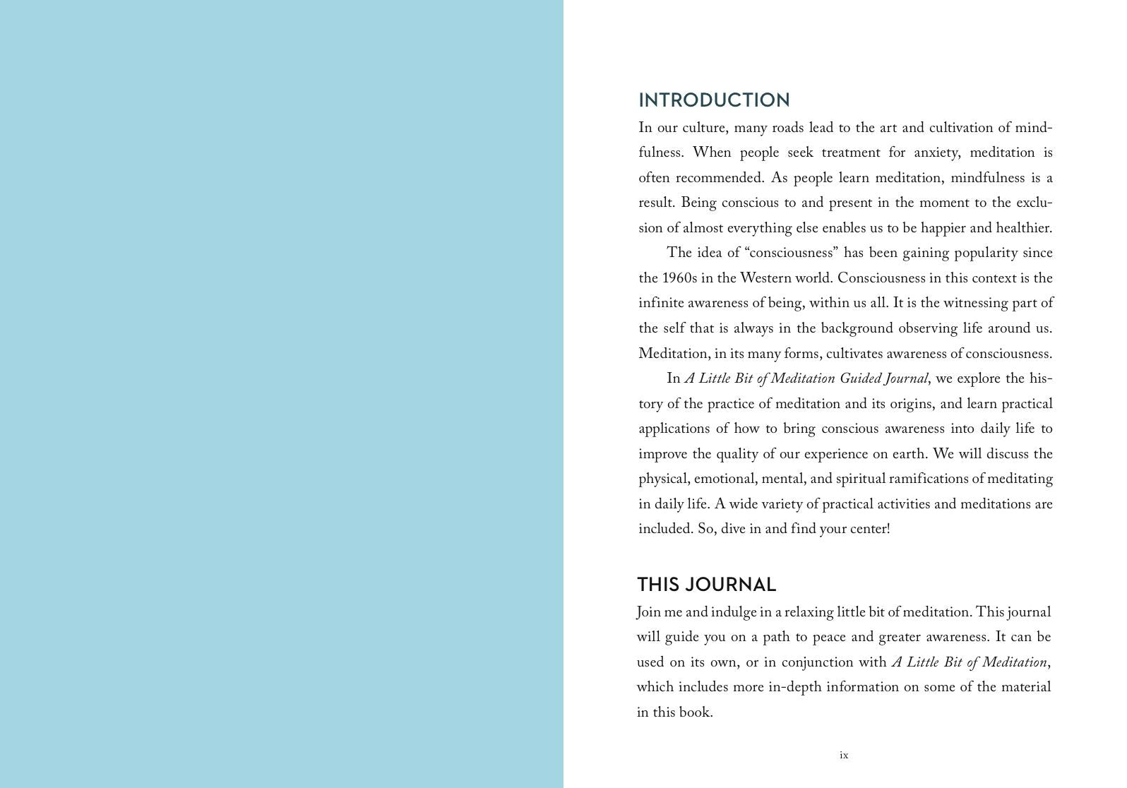 A Little Bit of Meditation Guided Journal: Your Personal Path to Mindfulness