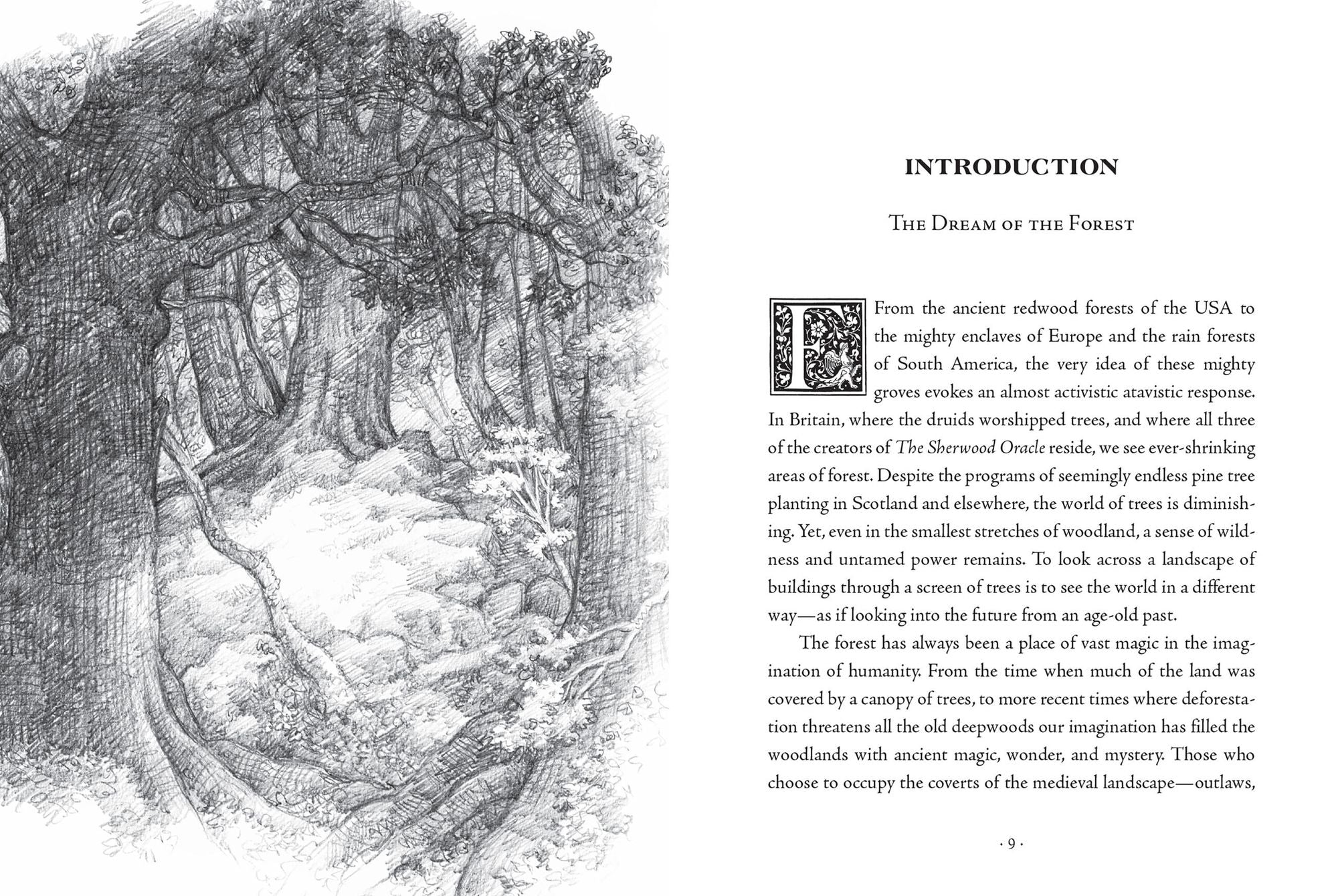 The Sherwood Oracle: Hidden Lore of the Wild Forest
