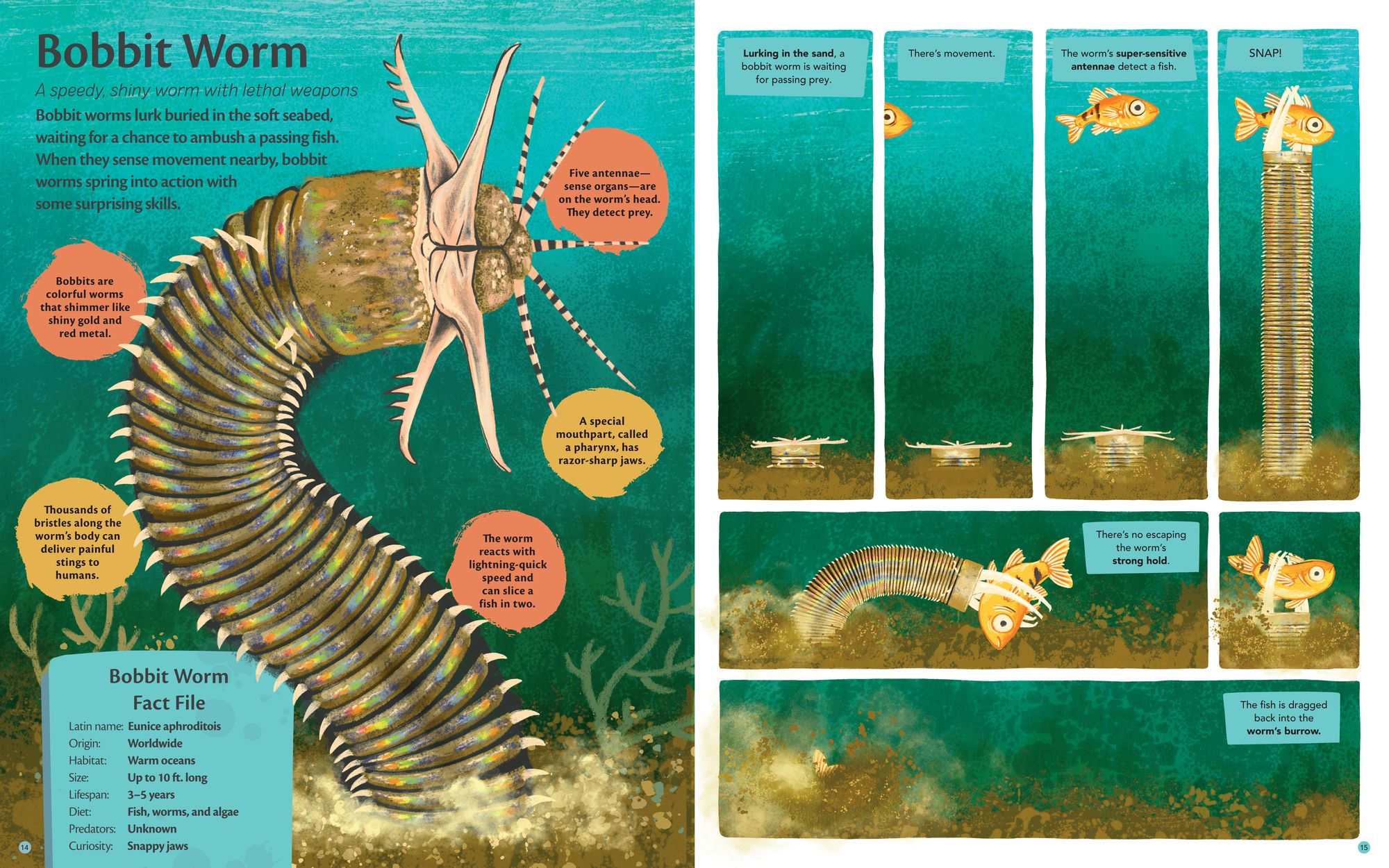 Curious Features of Extraordinary Creatures: The Amazing True Stories of the World's Weirdest Animals