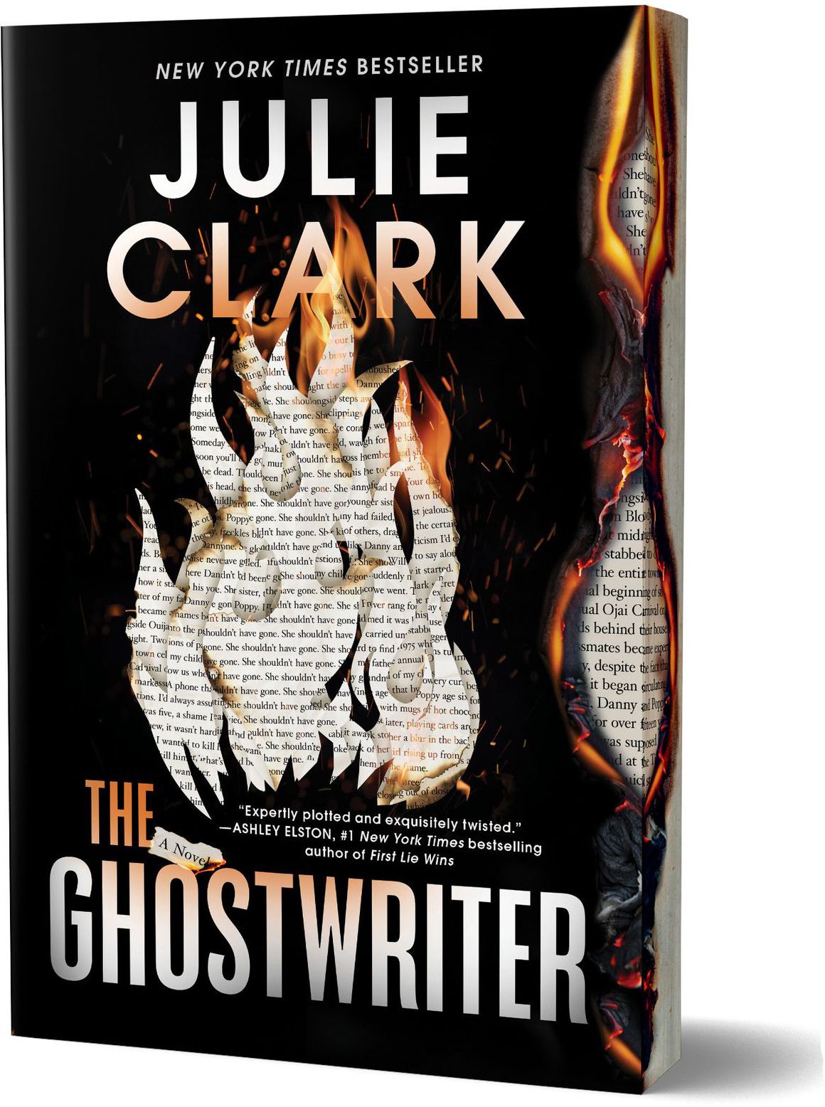 The Ghostwriter (Deluxe Edition): A Novel